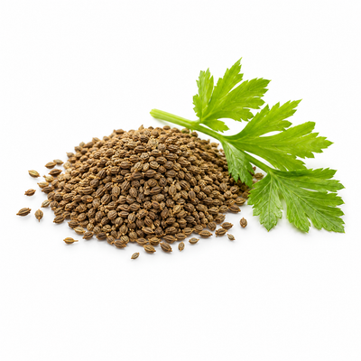 Celery Seed Extract