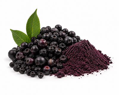 Organic Black Elderberry
