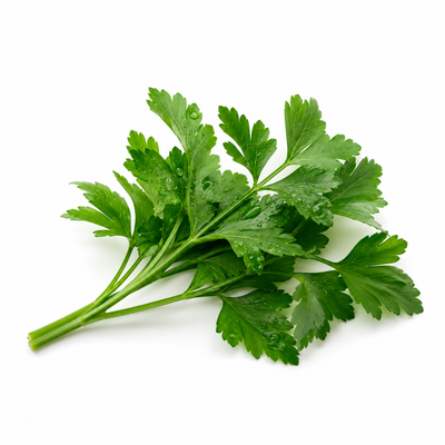 Parsley Extract