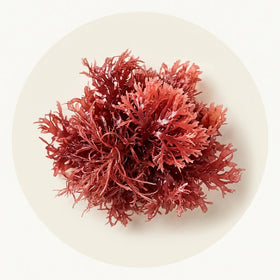 Astaxanthin